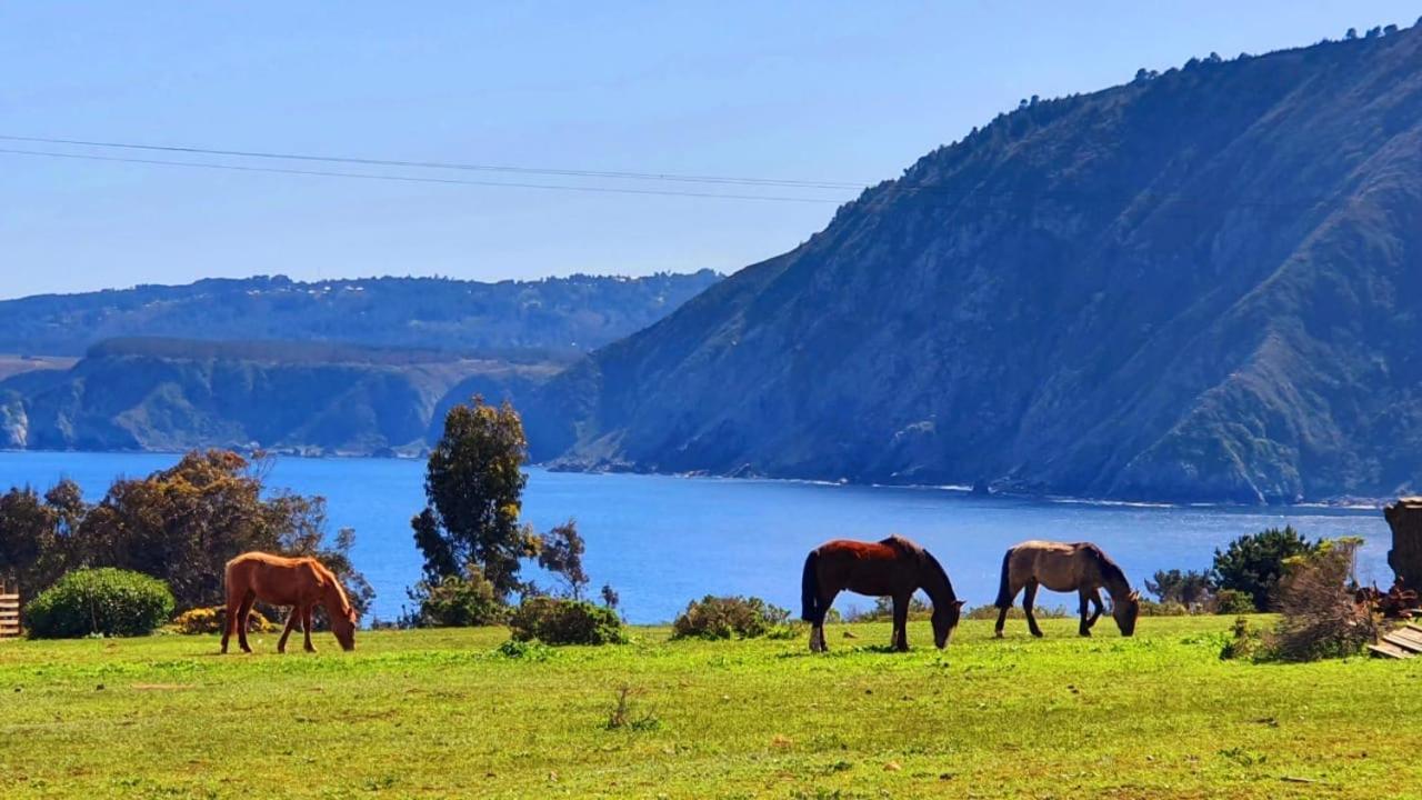 Cabana En Tunquen Con Parrilla, Fogon, Piscina Y Bosque ภายนอก รูปภาพ