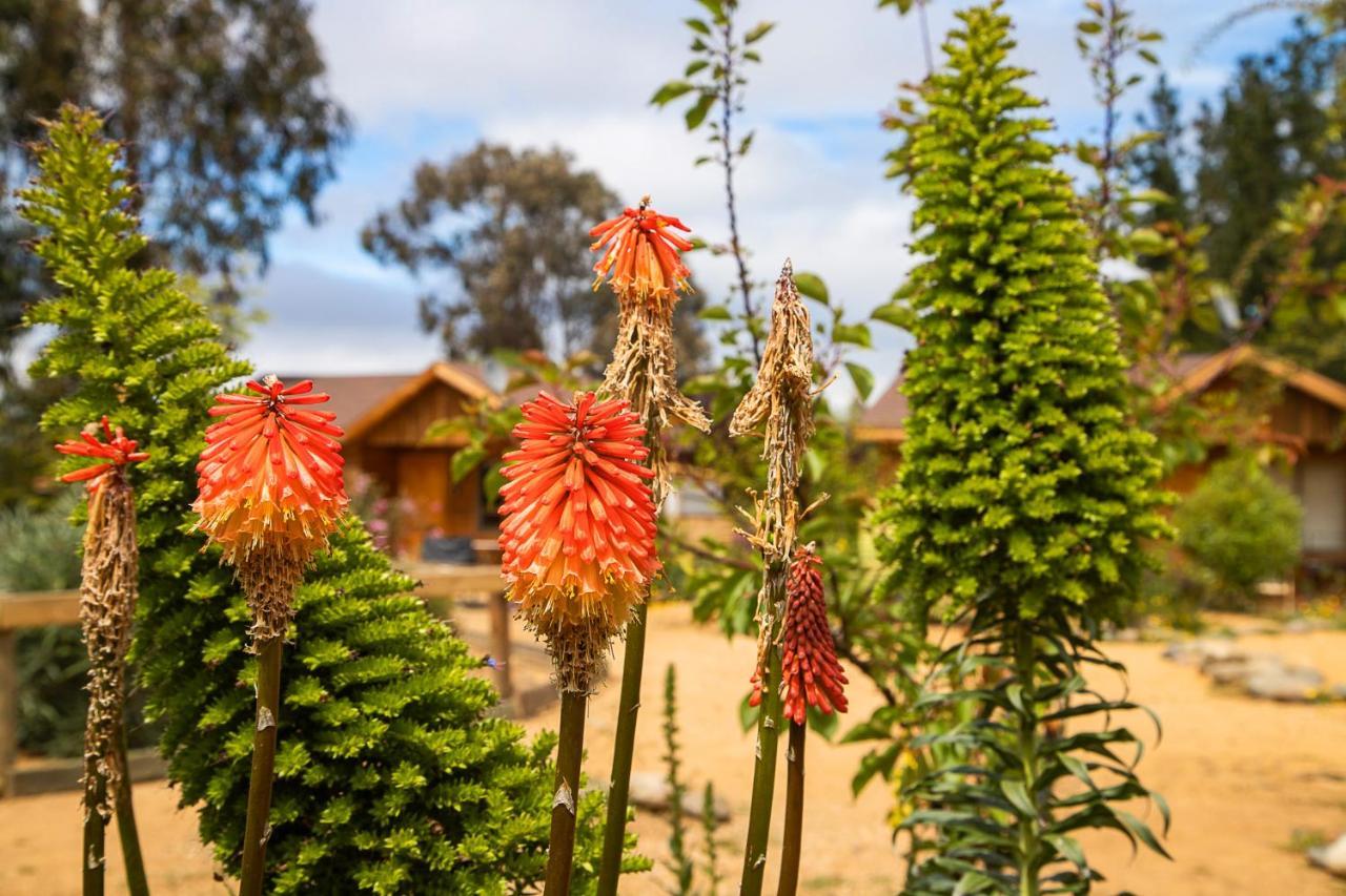 Cabana En Tunquen Con Parrilla, Fogon, Piscina Y Bosque ภายนอก รูปภาพ