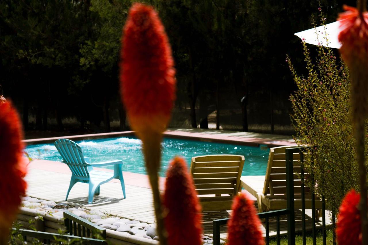 Cabana En Tunquen Con Parrilla, Fogon, Piscina Y Bosque ภายนอก รูปภาพ