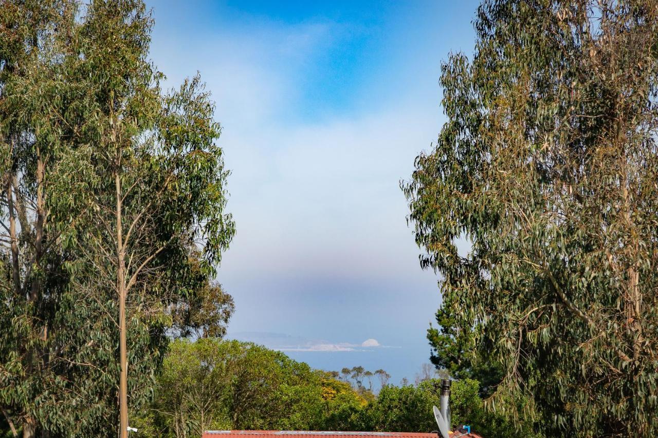 Cabana En Tunquen Con Parrilla, Fogon, Piscina Y Bosque ภายนอก รูปภาพ